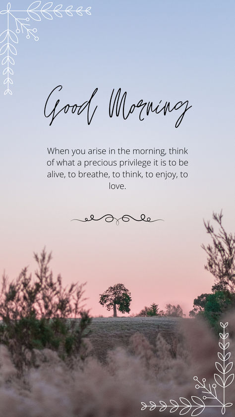 Remember How Blessed You Are, Realize How Blessed You Are, Waking Up Blessed Quotes, I Have Been Blessed Quotes, Waking Up Is A Blessing Quotes, Goodmorning Blessed, Blessed Day, Embrace Life, Wonderful Day