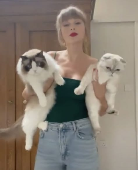 Taylor Swift Cat, Taylor Swift Taylor Swift, Taylor Swift New, Taylor Swift Cute, Olivia Benson, Meredith Grey, Red Taylor, Long Live Taylor Swift, Taylor Swift Fan