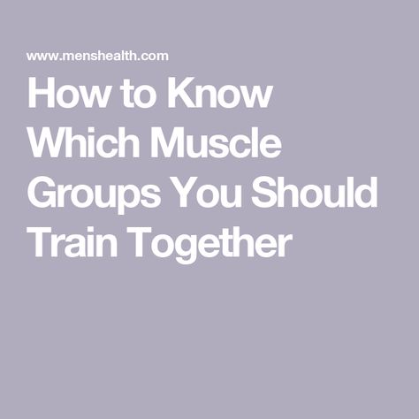 How to Know Which Muscle Groups You Should Train Together Muscle Groups Anatomy, Muscle Groups To Workout Together, Muscle Groups To Workout, Strength Building Workouts, Workout Together, Barbell Deadlift, Full Body Training, Push Day, Workout Splits