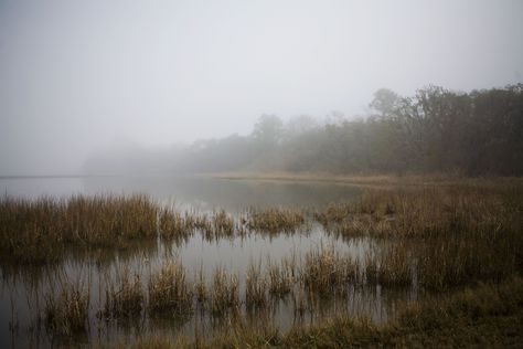 Country Gnomes, Black And White Landscape Photography, Marsh Art, Desolate Landscape, Marsh Painting, Fog Landscape, Landscape References, Background Reference, Ombres Portées