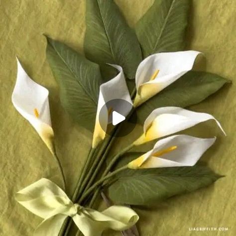 Crepe Paper Calla Lily, White Calla Lilies, Flower Planting, Wafer Paper, Calla Lilies, Crepe Paper, Calla Lily, Flora And Fauna, How To Grow