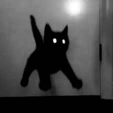 Black Cat Drawing, Black Cat Aesthetic, Scared Cat, Silly Cats Pictures, A Black Cat, Cat Mask, Cat Icon, Cat Aesthetic, Funny Cute Cats