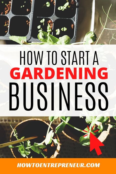 How To Start An Online Plant Shop, Start A Landscaping Business, How To Start A Greenhouse Business, Gardening Business Ideas, Garden Business Ideas, Greenhouse Business Ideas, Starting A Plant Nursery, Plant Business Ideas, Garden Consultant