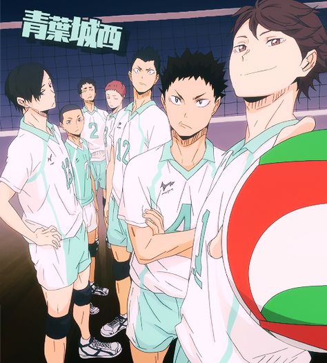 Haikyuu!! - Aobajousai Team Haikyuu Teams, Haikyuu Oikawa, Aoba Johsai, Iwaizumi Hajime, Haikyuu Volleyball, Oikawa Tooru, Volleyball Anime, Tom Jerry, Snapchat Funny