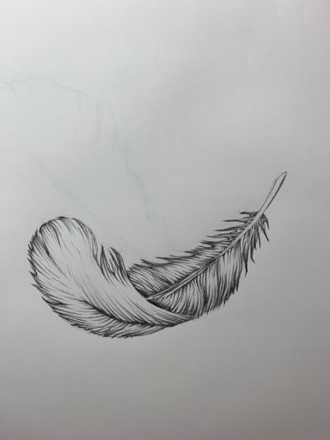 Bk Tattoo, Harry Tattoos, Birds Feathers, American Traditional Tattoo Ideas, Traditional Tattoo Ideas, Feather Drawing, American Tattoos, Turkey Feathers, Feather Tattoos