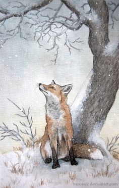 ray shuell art | fox beauty http://johnpirilloauthor.blogspot.com/ Winter View Drawing, Winter Pencil Drawings, Winter Drawings Pencil, Paintings Of Foxes, Winter Animals Illustration, Fox Art Illustration, Fox Paintings, Fox Watercolour, Pet Anime