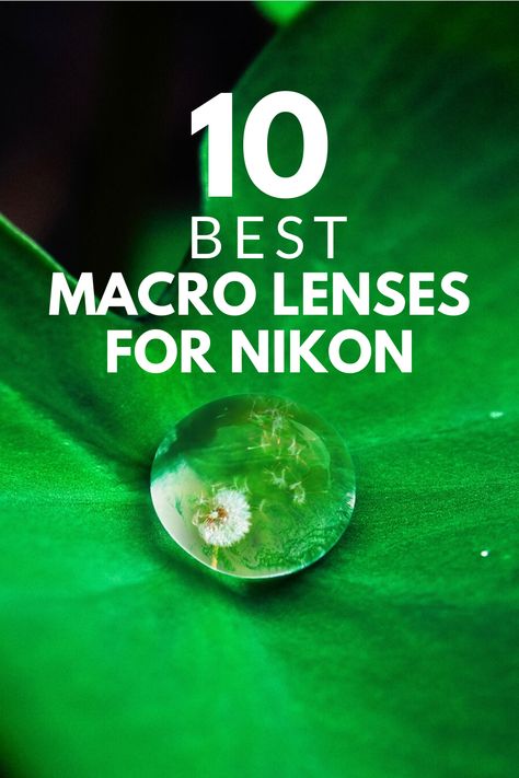 Ready to discover the 10 best Nikon macro lenses for taking amazing close up photos? This detailed guide will help you choose the best macro lens for your needs. Plus, learn what to look for when buying a macro lens. #macro #macrophotography #photography #dslr #digitalphotography Nikon Camera Tips, Photography Dslr, Macro Photography Tips, Nikon Lenses, Macro Photography Nature, Nikon Cameras, Nikon D3400, Macro Photographers, Nikon Lens