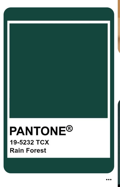 Pantone Rain Forest, Pantone Green, Pantone Colour Palettes, Royal Green, Pantone Colors, Uk Homes, Autumn 2024, Tropical Rainforest, Peacock Green