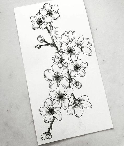 Branch Drawing, Tattoo Dotwork, Kunst Tattoos, Realistic Rose, Cherry Blossom Tattoo, Blossom Tattoo, Flower Sketches, Plant Drawing, Sleeve Tattoo