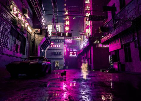 Punk Background, Neon Illustration, Anime English, Neon Backgrounds, Neon Wallpaper, Wild Adventures, 80s Style, Cyberpunk Art, Street Culture