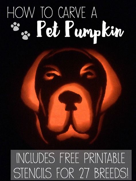 Dog Pumpkin Carving, Glow In The Dark Pumpkins, Pumpkin Carving Stencils Easy, Free Printable Pumpkin Carving Stencils, Carving A Pumpkin, Carve A Pumpkin, Printable Pumpkin Stencils, Pumpkin Carving Stencils Free, Pumpkin Stencils Free