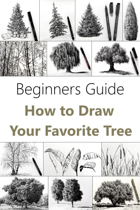 Sketch Trees, How To Draw Trees, Trees Drawing Tutorial, Draw Trees, Drawing Trees, Drawing 101, Beginner Drawing Lessons, Beginner Drawing, Pencil Drawings For Beginners