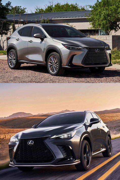 Lexus Nx 350 2022, Lexus Nx 300 F Sport, Pink And White Floral Arrangements, Lexus Nx 350 F Sport, Lexus Nx 350, Lexus Truck, Lexus 350, Toyota Runner, Dream Cars Lexus