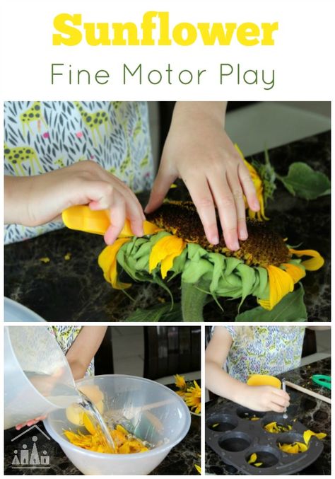 Sunflower fine motor play Sunflower Activities, Fine Motor Play, Motor Skills Preschool, Fine Motor Activities For Kids, Sensory Activities Toddlers, Kids At Home, Fine Motor Skills Activities, Motor Skills Activities, School Garden