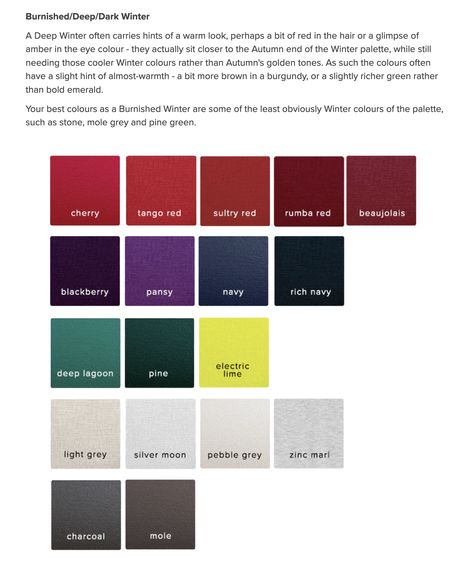 Deep Wine Color Palette, Dark Deep Winter Color Palette, Burnished Winter Palette, Dark Deep Winter, Burnished Winter, Deep Winter Color Palette, Color Theories, Twilight Winter, Room Color Palette