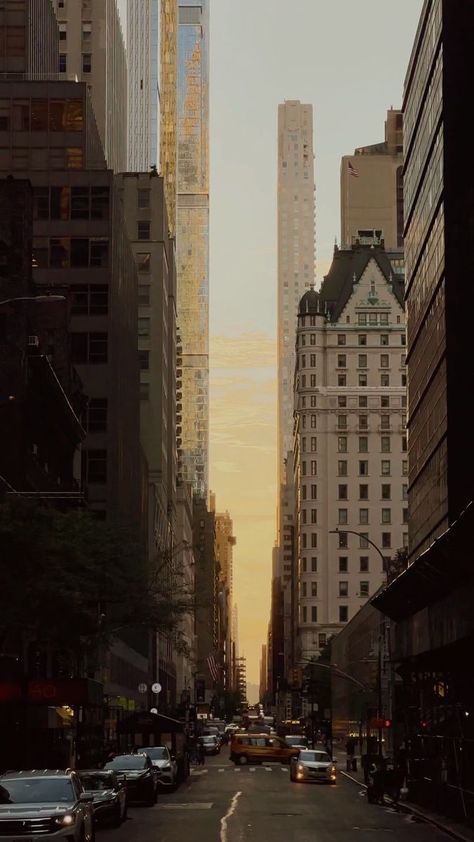 ethan barber • new york city on Reels | Kosta Kutay · Don't Trip Ethan Barber, Shot On Iphone, Summer Evening, Late Summer, The Wild, Manhattan, Iphone 13, York City, New York City