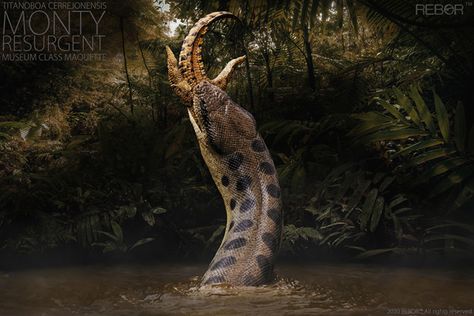 New Rebor Titanoboa Models Ready to Pre-order Titanoboa Snake, Dinosaurs Extinction, Sea Snake, Wild Animals Photography, Dinosaur Pictures, Snake Art, Beautiful Snakes, Prehistoric Creatures, Animal Species