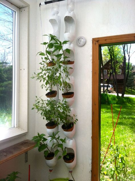 Having your favorite fresh herbs close by for cooking is possible, even if you don't have lots of space. Just create a vertical herb garden! See our ideas. Reuse Plastic Bottles, Vertical Garden Design, Vertical Vegetable Garden, Vertical Herb Garden, Vertical Garden Diy, Tower Garden, Diy Macrame Plant Hanger, Bottle Garden, Pallet Garden