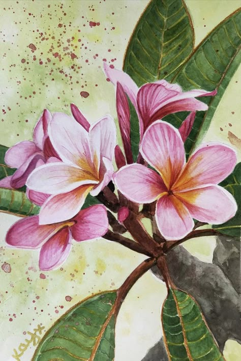 Hawaiian Flower Watercolor, Painted Tropical Flowers, Frangipani Painting, Plumeria Painting, Watercolour Plants, Hawaii Painting, Contemporary Botanical Art, Tropical Painting, Hawaiian Art