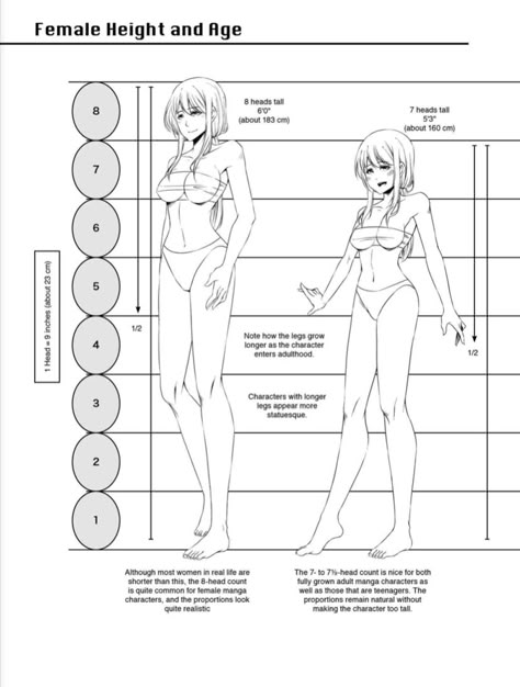 Height Comparison Chart, Draw Human Figures, Height Comparison, How To Draw Bodies, How To Draw Human, Body Shapes Women, Human Height, Human Body Drawing, Draw Human