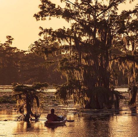 Louisiana evening today :) Creole Aesthetic, Louisiana Creole Aesthetic, Cajun Culture Aesthetic, Louisiana Aesthetic, Vintage Louisiana Aesthetic, Louisiana Cowboy, West Monroe Louisiana, Louisiana Scenery, Vintage Louisiana