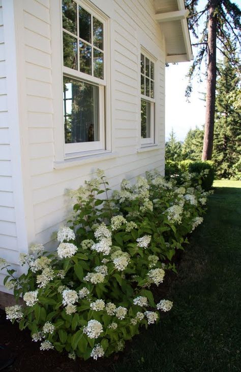 Porch Landscaping, Hydrangea Bush, Patio Pergola, Farmhouse Landscaping, Front Landscaping, Planting Hydrangeas, Farmhouse Garden, Have Inspiration, Home Landscaping