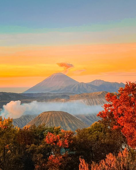 Escape the hustle and bustle of city life and experience the tranquility of nature on our 1-day Bromo tour. We’ll take you to see some of the most stunning scenery in Indonesia, including the sunrise at Penanjakan, the crater of Mount Bromo, and the Sea of Sand. Book your trip today and let us take care of the details. Plan your trip to Indonesia through IdnTripper link in bio! #Bromotour #TravelVlog #AdventureAwaits #ExploreTheWorld #JourneyOfALifetime #Wanderlust #TravelDiary #Discov... Mount Bromo, Mountain Aesthetic, Stunning Scenery, Travel Vlog, The Sunrise, The Hustle, Postcard Design, Travel Diary, Adventure Awaits