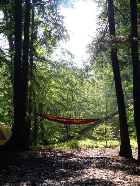 Camping trips and sleeping in a hammock Hammock Aesthetic, Sleeping In A Hammock, Mako Island, Sleeping Outside, Deep Summer, Hammock Camping Gear, Shrimp Balls, Backpacking Hammock, Inktober 2023