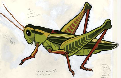 Grasshopper Sketch, Grasshopper Painting, Grasshopper Drawing, Grasshopper Tattoo, Grasshopper Illustration, Grasshopper Art, Cute Grasshopper, Cricket Insect Illustration, Grasshopper Photography