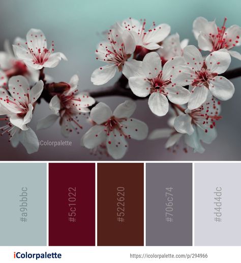 Color Palette ideas from 1806 Blossom Images | iColorpalette Black Cherry Color Palette, Cherry Blossom Color Palette, Cherry Color Palette, Japanese Color Palette, Flower Color Palette, Black Cherry Color, Japanese Colors, Hex Color Palette, Spring Color Palette