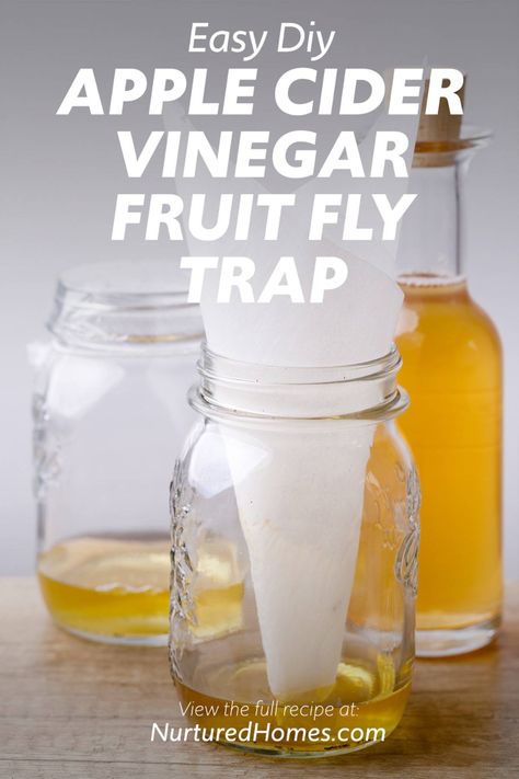 DIY Apple Cider Vinegar Fruit Fly Trap (This Really Works!) - Nurtured Homes Fruit Fly Trap Apple Cider Vinegar, Apple Cider Vinegar Diy, Horsefly Trap, Flies Trap Diy, Diy Apple Cider Vinegar, Mosquito Trap Diy, Homemade Fly Traps, Apple Cidar Vinegar, Fruit Fly Trap Diy