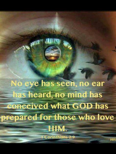 1 Corinthians 2:9 But as it is written, "Eye hath not seen,  nor ear heard,  neither have entered into the heart of man, the things which God hath prepared for them that love him." Woord Van God, Jesus Loves Me, E Card, Spiritual Inspiration, Jesus Loves, An Eye, Holy Bible, God Is Good, Bible Scriptures