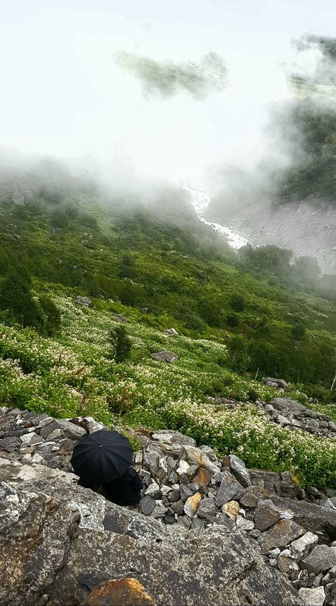 Valley of Flowers National Park is an Indian national park, located in North Chamoli and Pithoragarh, in the state of Uttarakhand and is known for its meadows of endemic alpine flowers and the variety of flora. #explore #trek #love Uttarakhand Aesthetic, Valley Of Flowers Uttarakhand, Alpine Flowers, Valley Of Flowers, Durga Maa, Incredible India, Beautiful Nature, Aesthetic Pictures, National Park