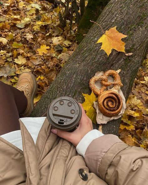 Gilmore Girls Seasons, Fall Mood Board, Pumpkin Spice Season, Fall Inspo, Fall Feels, Fall Is Here, Foto Ideas Instagram, Best Seasons, We Fall In Love