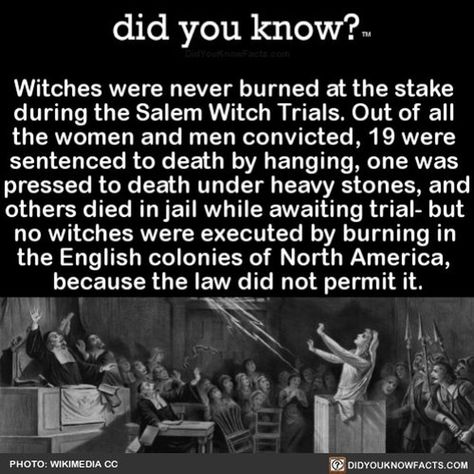 Salem Witch Trials Facts, Witches Facts, Burned At The Stake, The Salem Witch Trials, Booby Traps, Witch History, Strange Facts, Salem Witch Trials, Creepy Facts