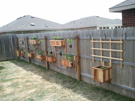 Vegetable and Herb garden on the fence.  Easy to hang, not too costly.  Veggies in boxes, herbs in mason jars. Vegetable And Herb Garden, Hanging Herb Gardens, Herb Garden Pallet, Fenced Vegetable Garden, Vertical Vegetable Gardens, Diy Garden Fence, Hanging Herbs, Vertical Vegetable Garden, Vertical Herb Garden