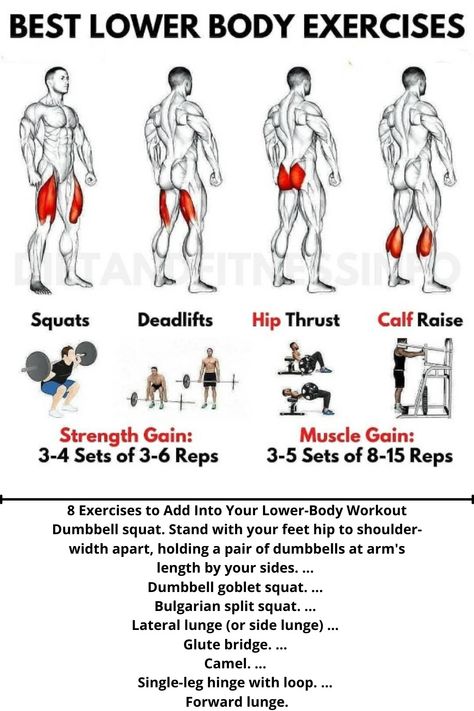 Lower Body Full Workout, Lower Body Sculpting Workout, Simple Lower Body Workout, Lower Body Routine, Compound Lower Body Exercise, Best Lower Body Workout, Lower Body Crossfit Workout, Lower Body Barbell Workout, Lower Body Workout For Men