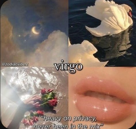 Virgo + Core + Aesthetic, Virgo Earth Sign, Virgo Moon Sign, Virgo Flower, Virgo Emotions, Virgo Goddess, All About Virgo, Virgo Personality, Virgo Memes