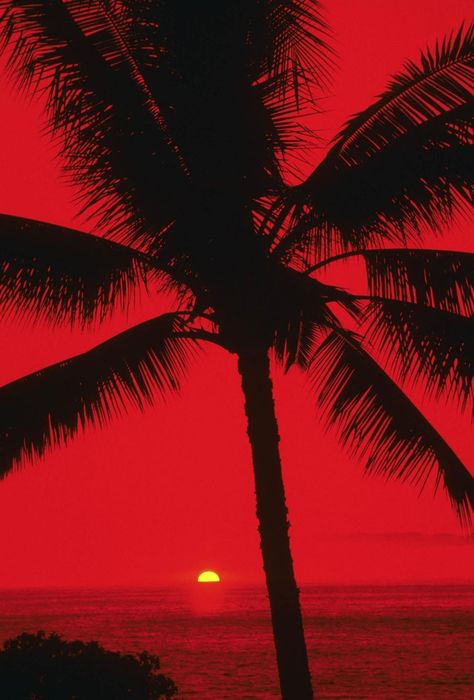 Beach Red Aesthetic, Red Ocean Aesthetic, Red Summer Wallpaper, Red Beach Aesthetic, Red Sunset Wallpaper, Summer Red Aesthetic, Red Sunset Aesthetic, Red Summer Aesthetic, Rouge Aesthetic