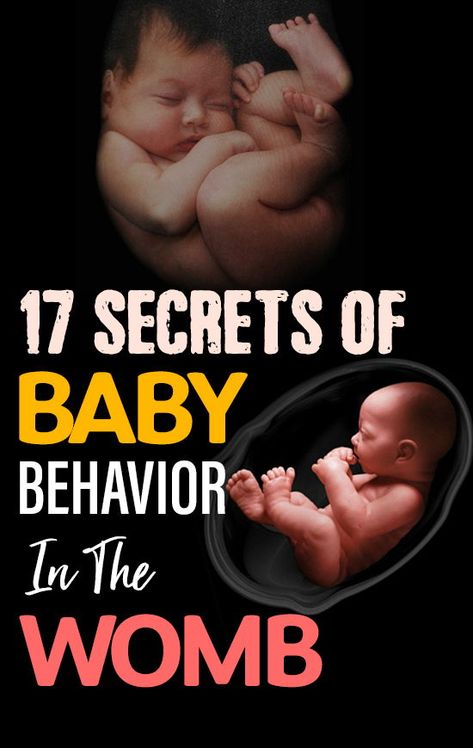 17 Secrets Of Baby Behavior In The Womb : Those movements that you feel inside your womb when you are pregnant are one of the most beautiful experiences you have. Kicking and swimming around, the baby moves a lot. #pregnancy #pregnancycare Baby In Womb, Lamaze Classes, Pregnancy Hacks, Baby Kicking, Pregnancy Information, Pumping Moms, Baby Stage, Baby Sleep Problems, Pregnancy Care