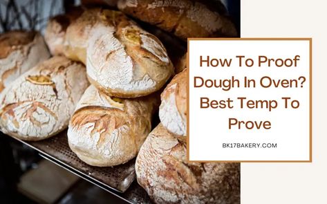 How To Proof Dough In Oven? Best Temp To Prove Proofing Bread In Oven, How To Proof Dough, How To Proof Dough In Oven, Bread In Oven, Proof Bread, Proofing Bread, Homemade Sourdough, No Rise Bread, Dough Recipes