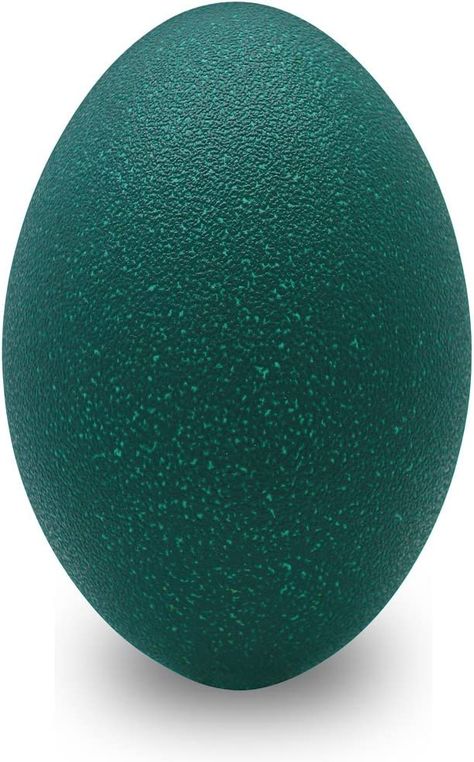 from Ottawa, Illinois. Emu eggs have a unique green color and texture which is unlike other natural eggs. https://www.farmersmarketonline.com/emu-eggs Emu Farm, Emu Eggs, Ottawa Illinois, Emu Egg, Egg Art, Farmer's Market, Emu, Egg Shells, Ottawa