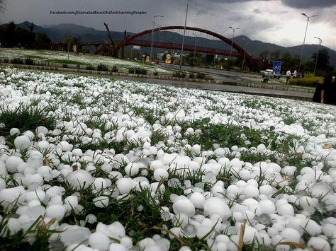 Hail on 7th Avenue - Islamabad. Pakistan Pakistan Population, Abbottabad Pakistan, Pakistan National Anthem, Flood In Pakistan, Historical Places Of Pakistan, Tornado Damage, Hail Storm, Wild Weather, Beautiful Disaster