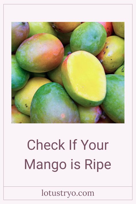 Wondering how to tell if a mango is ripe and ready to eat? Look for a slight give when you squeeze the mango gently, and a sweet, fruity aroma is a sure sign that it's ripe. A mango that's smooth and slightly bright in color with no green spots is an excellent pick. Enhance your fruit knowledge by learning about mango ripeness. Perfect for those who love fruits and want to enjoy them at their best! Follow these easy tips to ensure your mango deserves your next smoothie or tropical salad. Mango Varieties, Red Mango, Ripe Mango, Green Mango, Orange Skin, Tropical Salad, Ripe Fruit, Harvest Time, Tropical Fruits