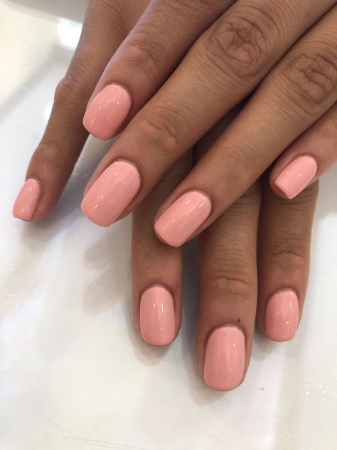 Peach fuzz by dnd 💅🏽 #gelmani #gelnails #gelpolish #gelcolor #dnd @dndgel Dnd Candy Pink, Dnd Burst Of Gold Nails, Dnd Peach Fuzz, Dnd Peach Gel Polish, Peach Fuzz Makeup, Peach Fuzz Nails, Peach Fuzz Color, Dnd Swatches, Peach Manicure