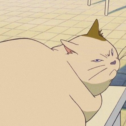 anime | studio ghibli | the cat returns | muta | aesthetic icons Muta The Cat Returns, Ghibli The Cat Returns, Movie Moodboard, Anime Studio Ghibli, Studio Ghilbi, Spanish Projects, Cat References, Anime Studio, The Cat Returns