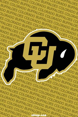 Go Buffs! Ncaa Football Logos, Buffalo Images, University Wallpaper, Back Rounds, Colorado Buffaloes Football, Touch Wallpaper, College Wallpaper, Cowboys Wallpaper, Pro Football Teams