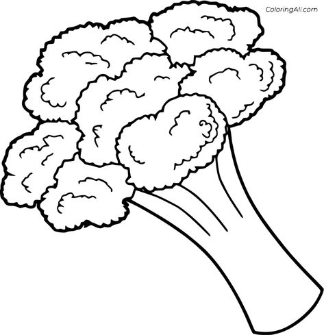 9 free printable Broccoli coloring pages in vector format, easy to print from any device and automatically fit any paper size. Vegetables Coloring Pages, Labor Day Crafts, Broccoli Vegetable, Vegetable Crafts, Vegetable Drawing, Vegetable Coloring Pages, Printable Flower Coloring Pages, Vegetable Pictures, Fruit Coloring Pages