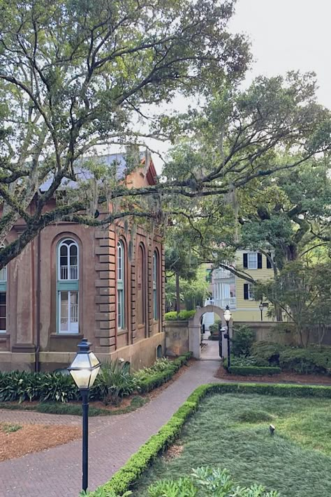 Charleston South Carolina Apartments, Southern College Aesthetic, The South Aesthetic, College Of Charleston Aesthetic, Charleston College, Charleston South Carolina Aesthetic, Charleston Sc Aesthetic, Charleston Southern University, South Carolina Aesthetic