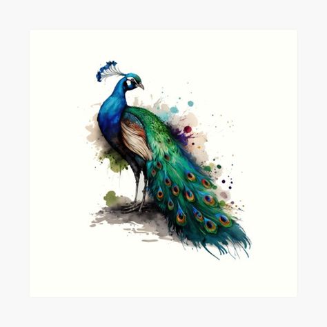 Watercolour Bird, Watercolor Peacock, Peacock Canvas, Peacock Pictures, Peacock Wall Art, Peacock Painting, Peacock Art, Bird Art Print, Bird Wall Art